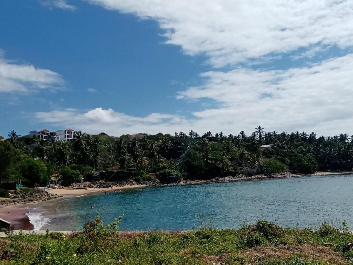 Surf Paradise 탕갈레 외부 사진