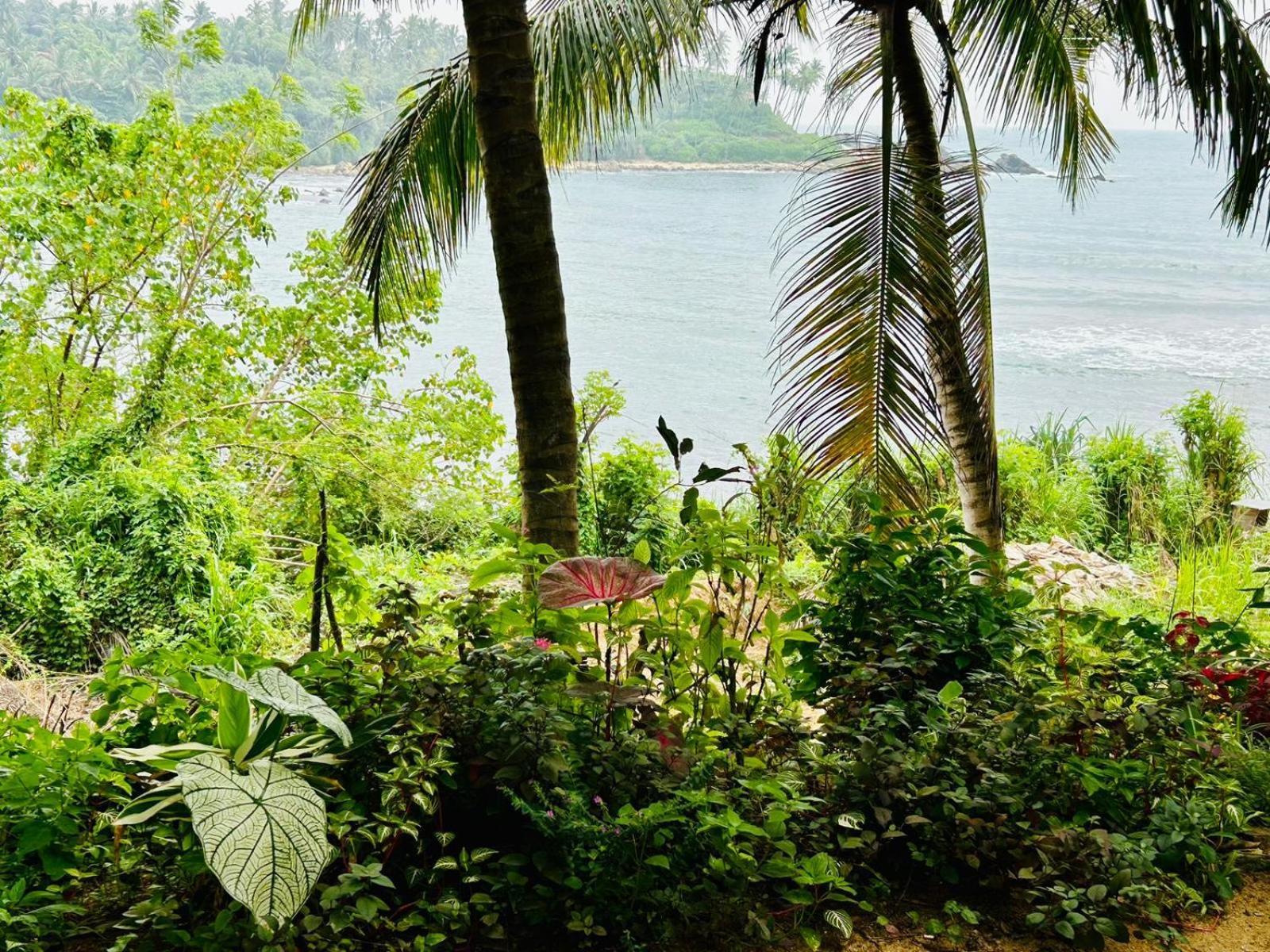 Surf Paradise 탕갈레 외부 사진