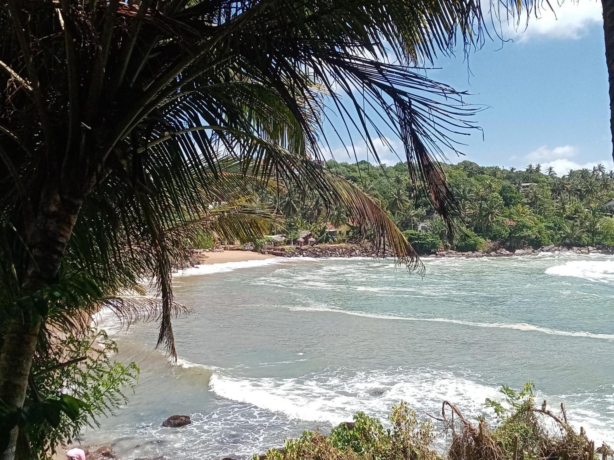 Surf Paradise 탕갈레 외부 사진