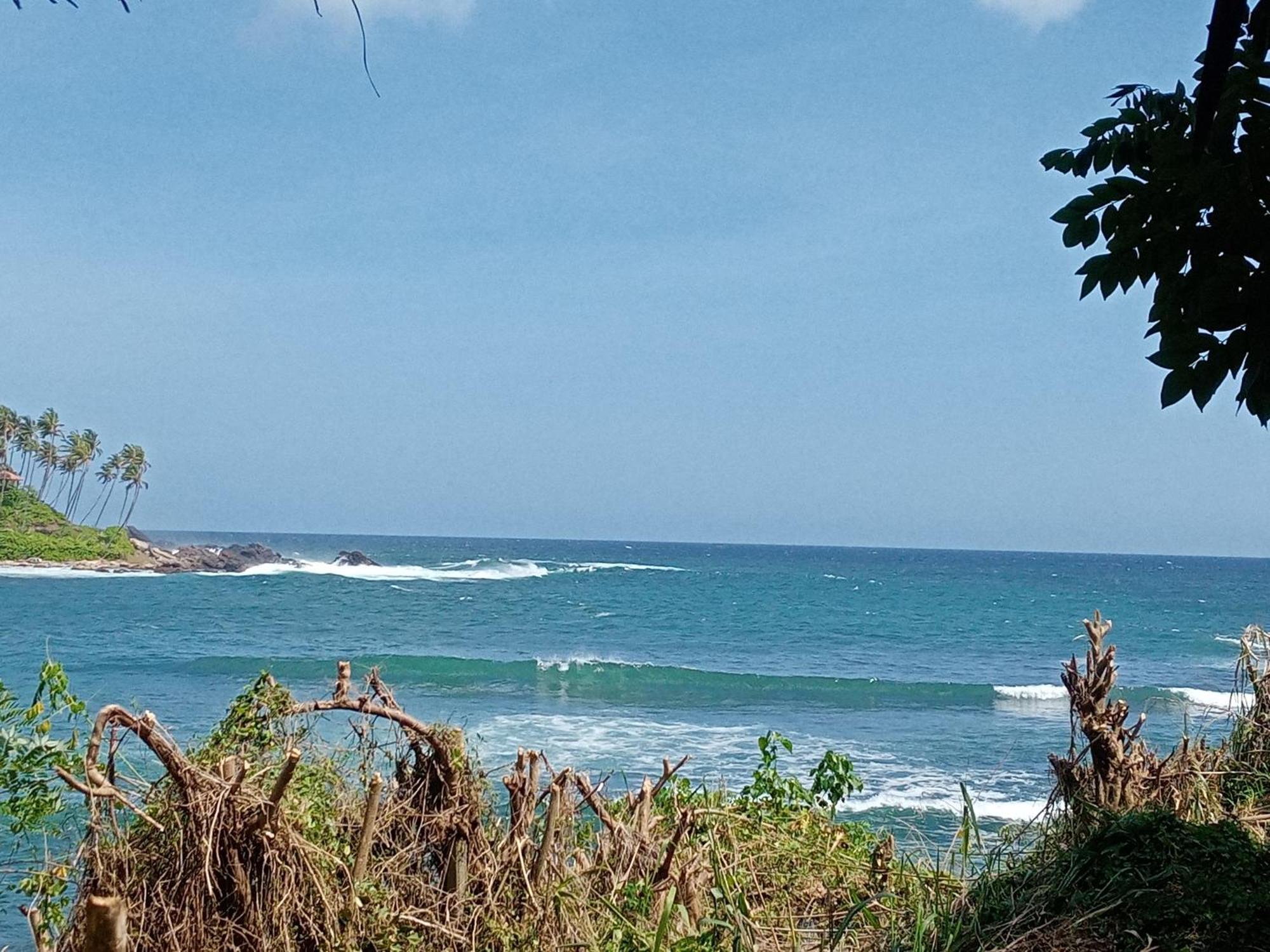 Surf Paradise 탕갈레 외부 사진